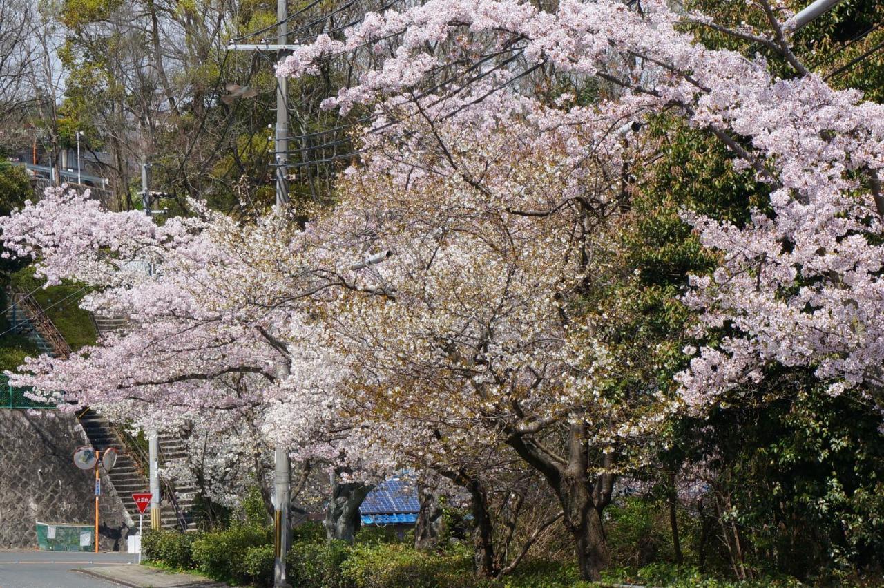 Atelier Bee'S Knees Bed & Breakfast Ikoma Экстерьер фото